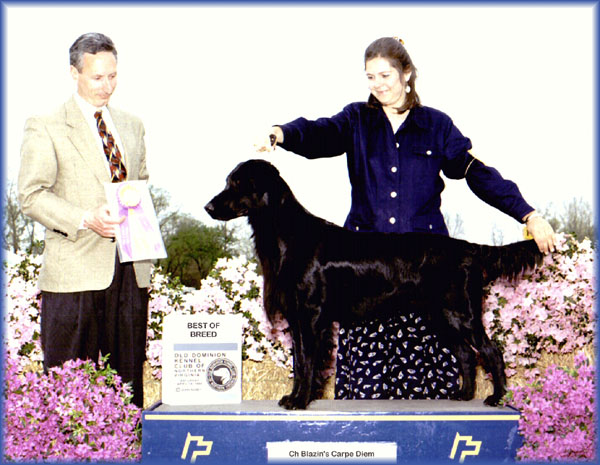 1998 Old Dominion KC - 1st Best Of Breed